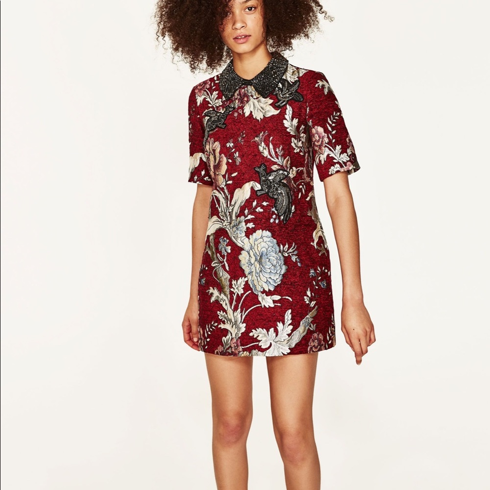 Looking for this dress!